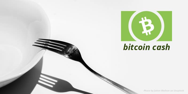 Understanding Bitcoin Cash (BCH) - Page 3